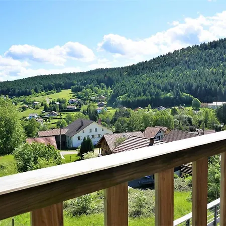 Vue De Longemer * Xonrupt-Longemer